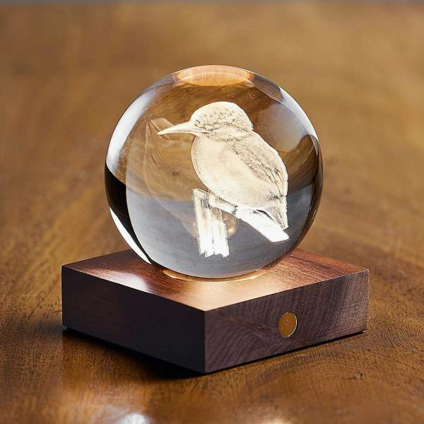 Museum Selection Kingfisher Night Light