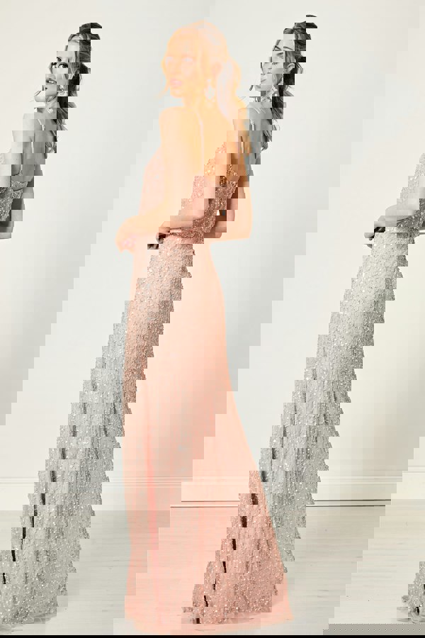 Scatter Embellished Sequin Maxi Dress in Rose Gold - ANGELEYE