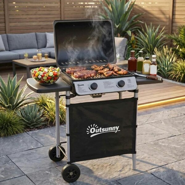 Bobobiy 2 Burner Gas BBQ Trolley with Lid, 5.6 kW Gas Barbecue Grill with Wheels, Side Shelves for Home Patio Garden Party Outdoor Cooking, Black - Black