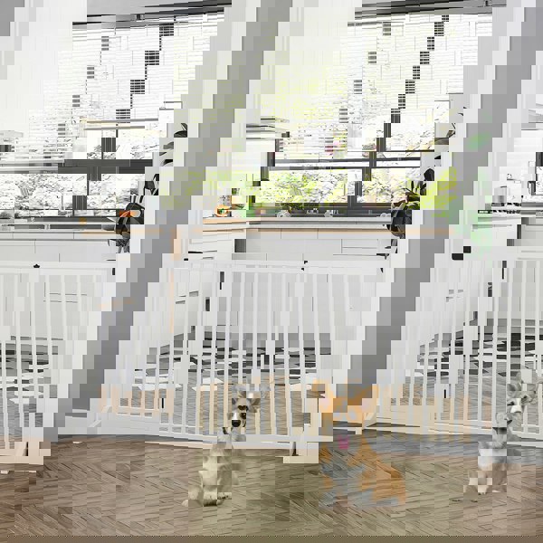 D06-079V01WT