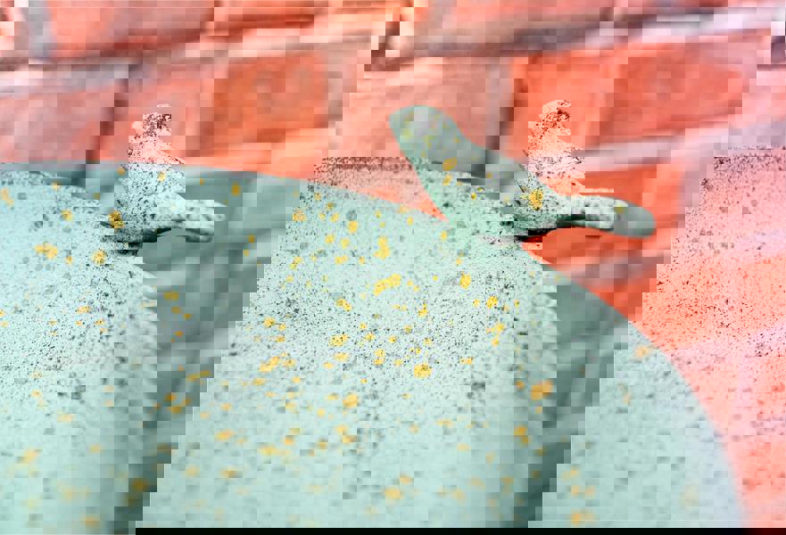 St Helens Ornamental Free Standing, Weather Resistant, Pedestal Style, Easy Assemble Bird Bath