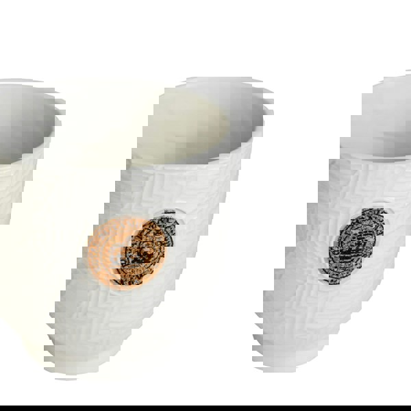 #color_ivory