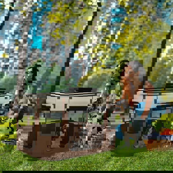 D06-217V01BN