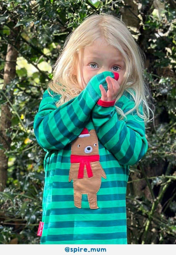 Organic Christmas Bear Applique Long - Sleeved T-Shirt - Toby Tiger