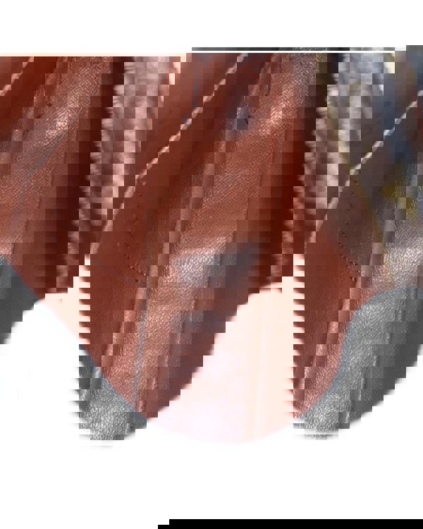 210253324.jpg