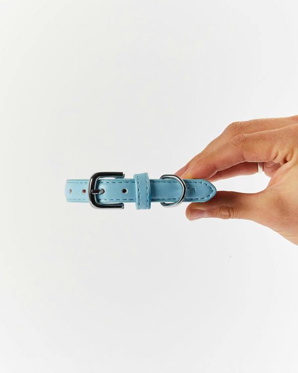 Barc London Blue Dog Collar - XS