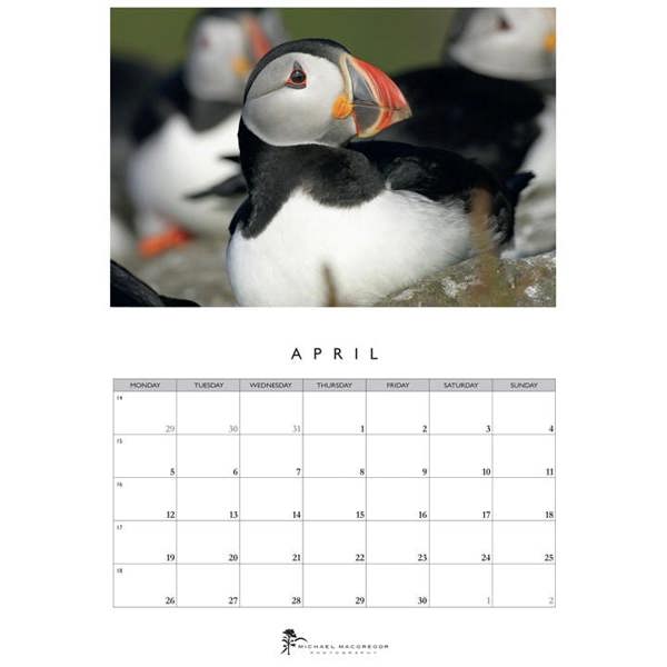 Michael MacGregor, Puffins Calendar 2027, Wall Calendars, Month To View, Animals, Gift