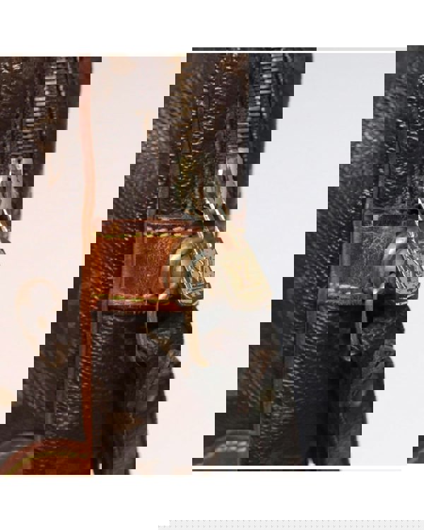 193977681.jpg