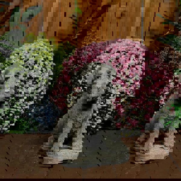 Large Schnauzer Stone Dog garden ornament 