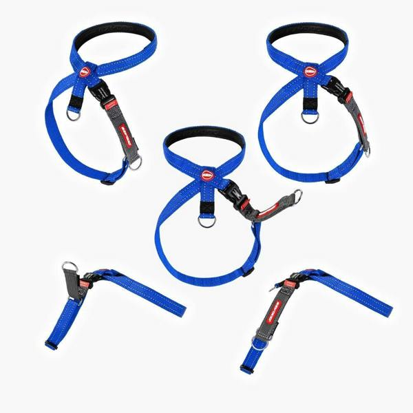EzyDog Crosscheck Dog Harness in Blue
