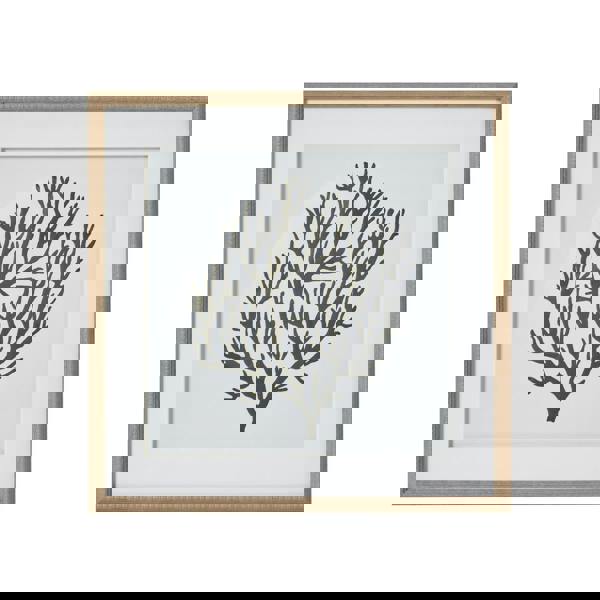 Hill Interiors Atol Coral Framed Art Print - Brown/Grey/White - 