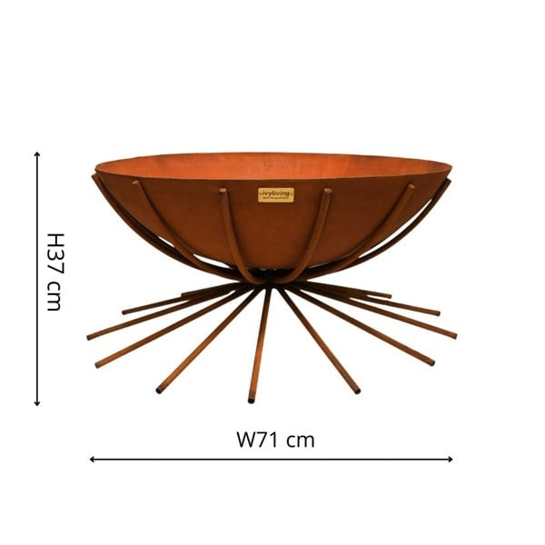 Ivyline Outdoor Metal Dakota Firebowl