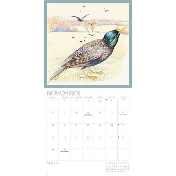Edith Holden, A Country Diary Calendar 2027, Wall Calendars, Month To View, Art, Gift