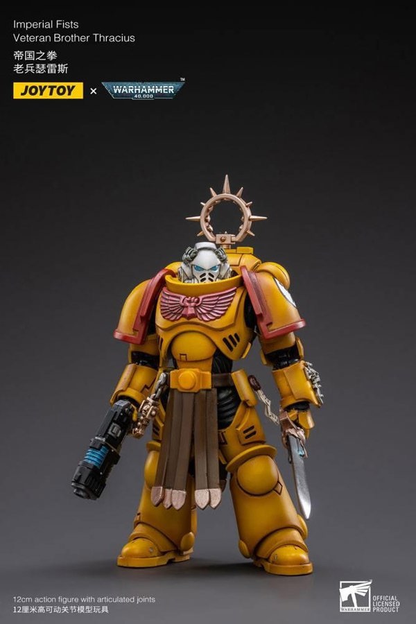 Joy Toys Warhammer 40K Imperial Fists Veteran Brother Thracius 1:18 Scale Joy Toy JT3013