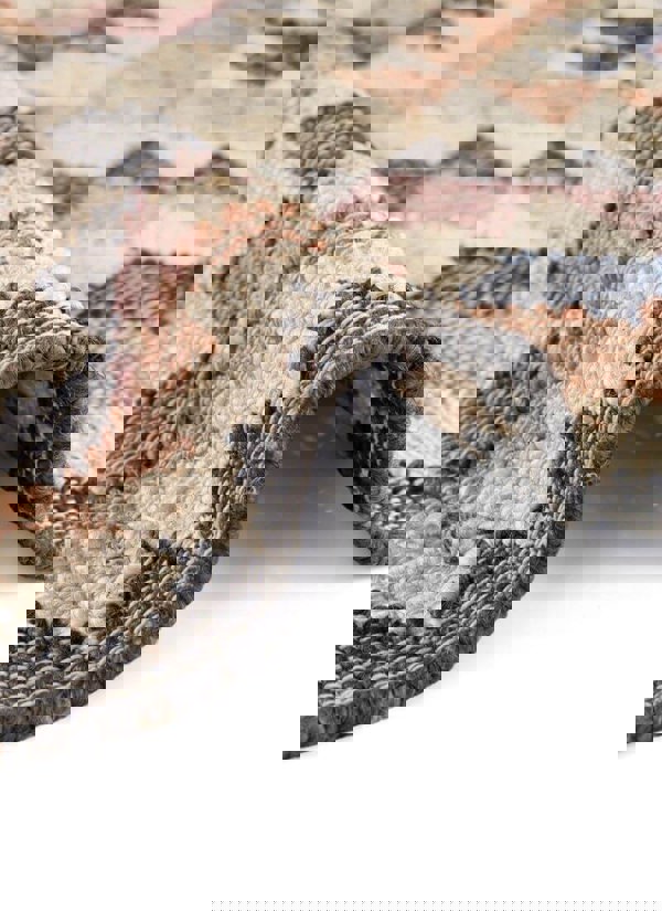 The Rugs Roya Afghan Kelim Rug – Parsa Cream Multicolour