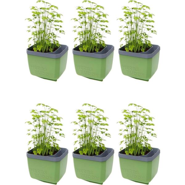 HERBS BUDDY herb pot with water reservoir - Dark Green
