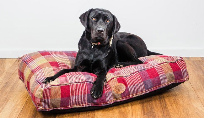 Snug and Cosy Pets Highland Mulberry Cushion Lounger