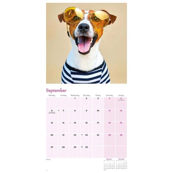 Dogs in Disguise Calendar 2027, Wall Calendars, Month To View, Humour, Gift