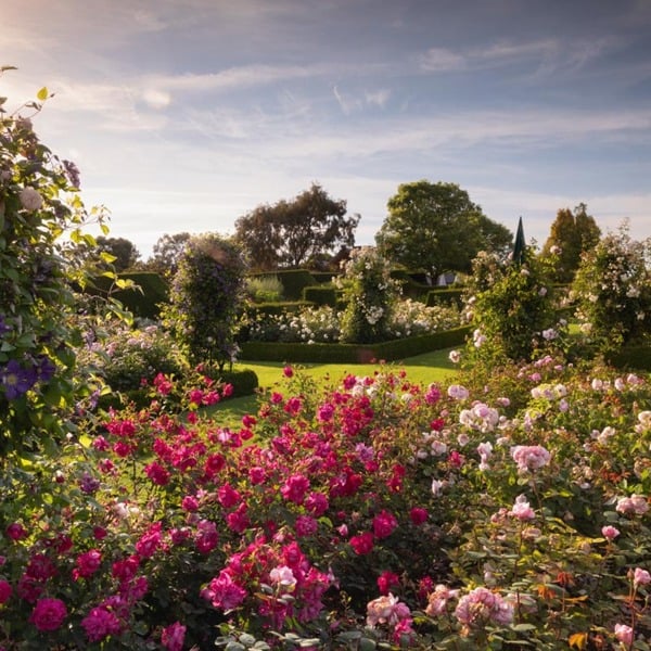 Virgin Experience Days Visit to a RHS Garden for Two