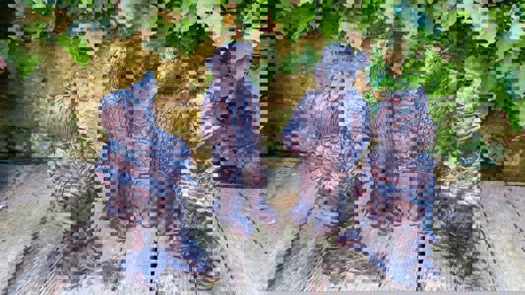 Inspirational Gifting Wind in the Willows Garden Sculptures Ornaments