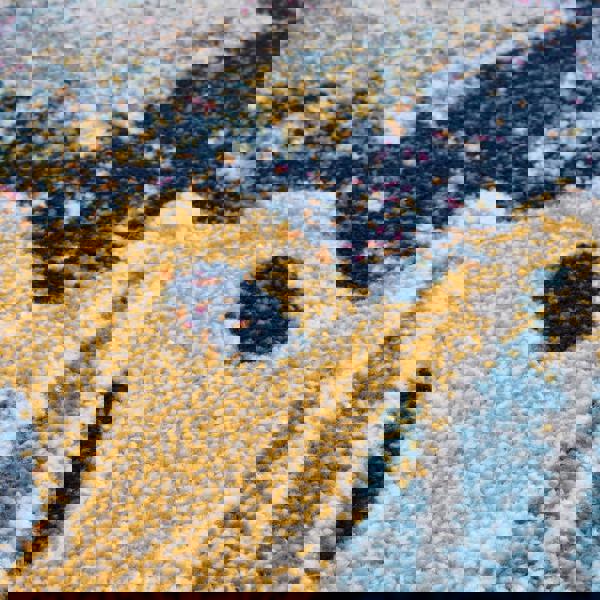 Asiatic Nova NV41 Sonic Blue Rug