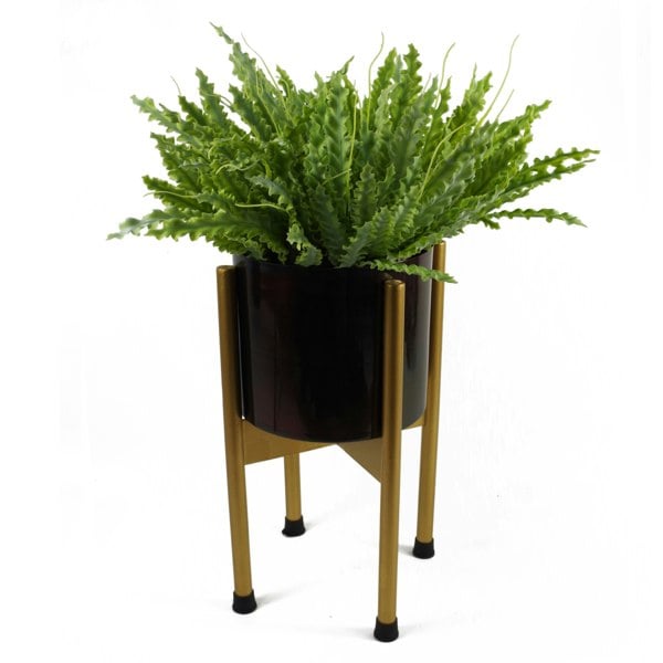 Leaf 12 x 40cm Artificial Crocodile Fern Plant