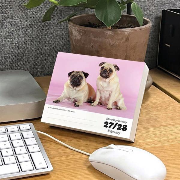 Pugs Desk Calendar 2027, Desk Calendars, Day To View, Dogs, Gift