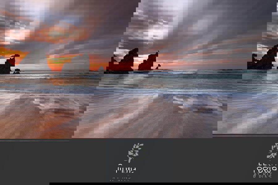 Fernlight Gallery Flux