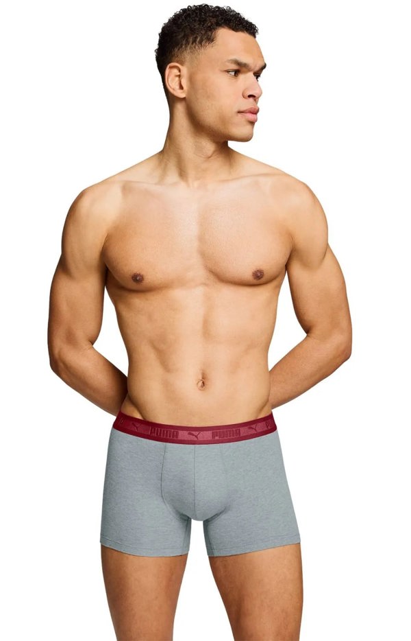 Puma 2-Pack Chromatic Waistband Boxer Briefs, Grey/Black/burgundy