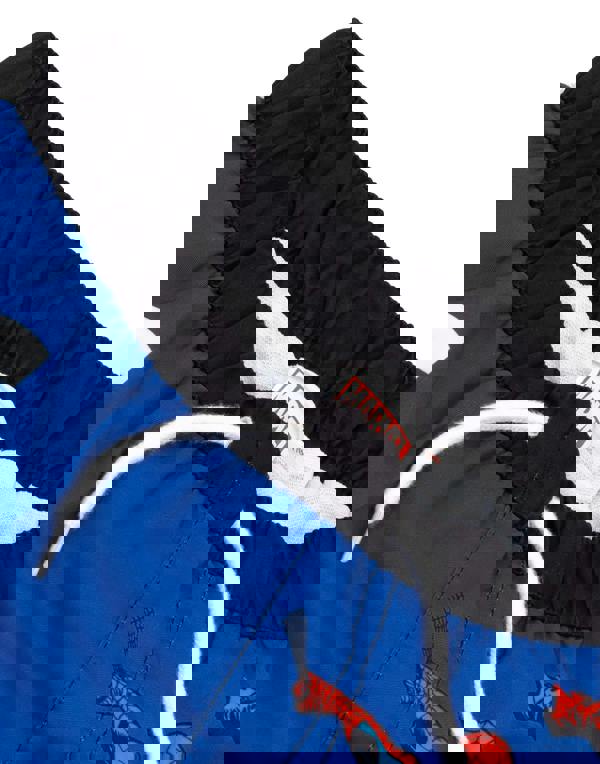 Marvel Boys Blue Spiderman, Hulk & Captain America Swim Shorts