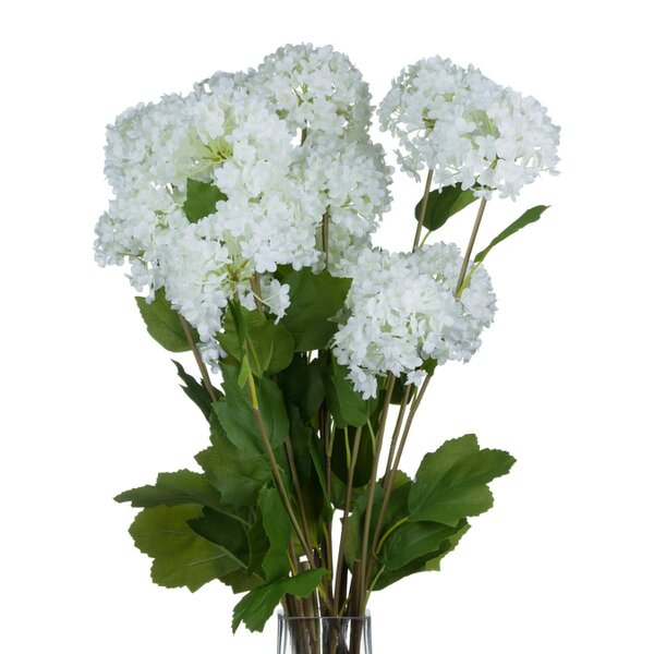 Wyld Haus Set of 3 Artificial Flowers Viburnum Opulus Stem