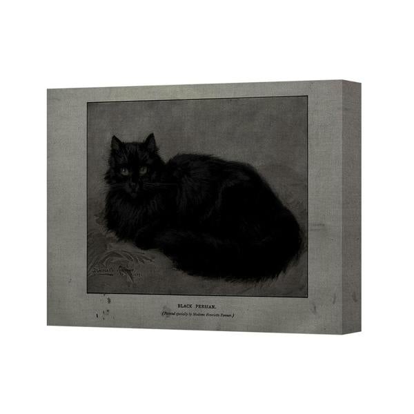 Benjamin Tate Design Canvas 3401 Black Persian Cat Wall Art Print For Living Room Decor