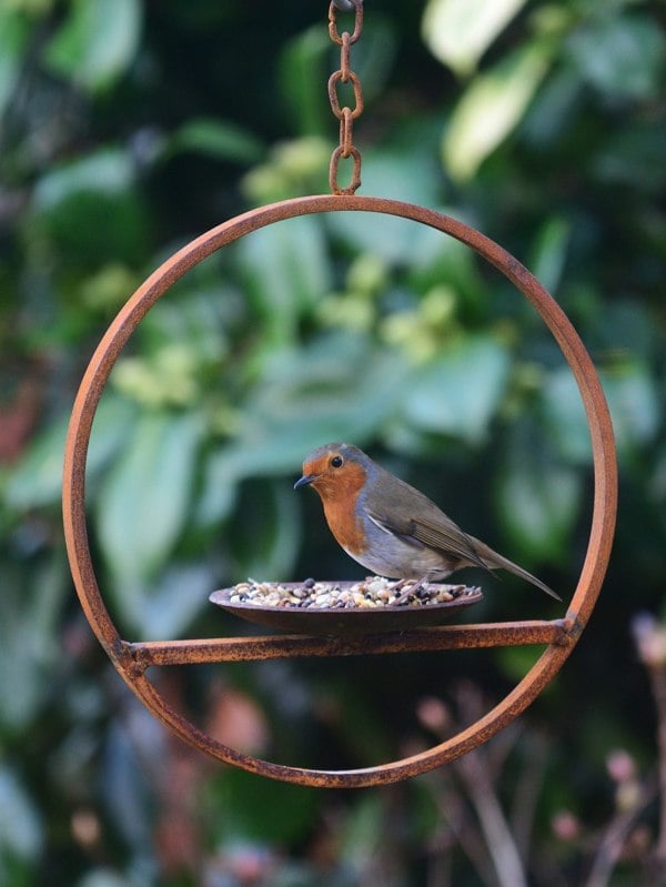 Savage Works Hanging Bird Feeder Platform Ring