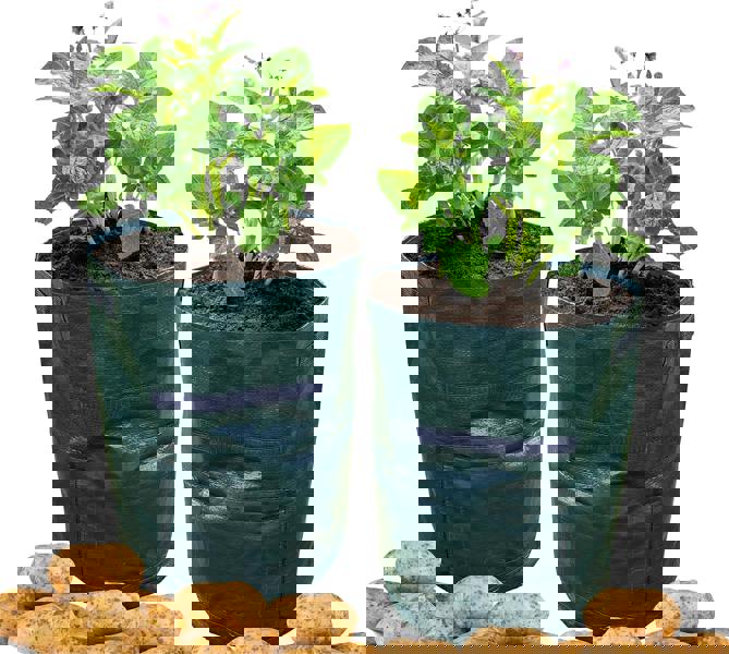 St Helens Home and Garden Potato Grow Bag - Pack of 2