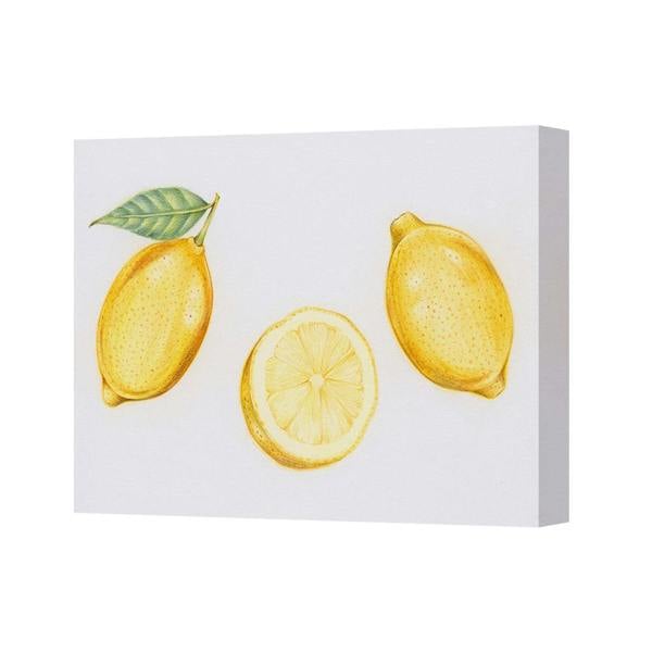 Benjamin Tate Design Lemon Trio Canvas Print Wall Art Yellow Citrus Decor