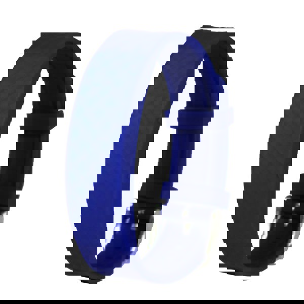 Pivotell Blue Pivotell Vibratime: Vibrating Pill Reminder Alarm Watch - with up to 12 Daily Alarms - Rechargable (USB Charger Included)