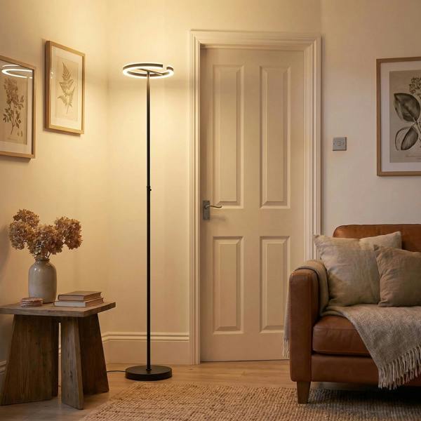 RGB and CCT Modern LED Halo Ring Black Floor Lamp with Remote Control Image 6