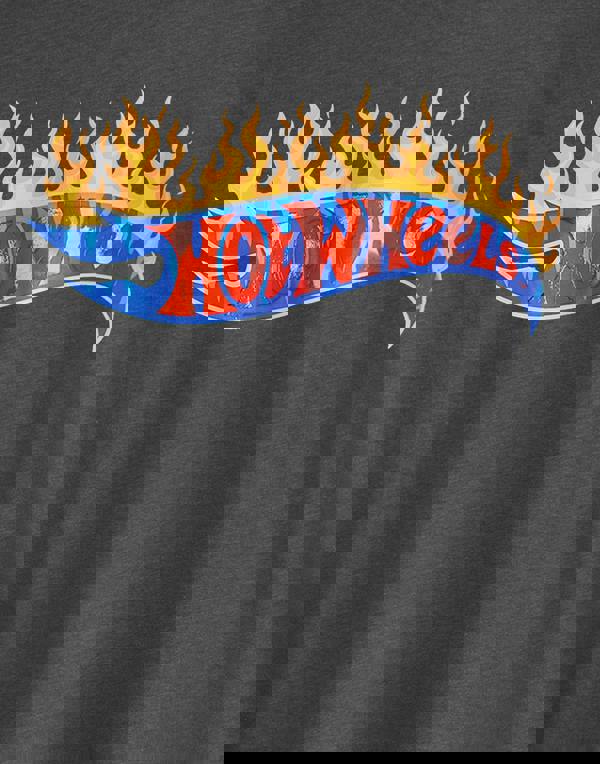 Hot Wheels Boys Grey Flame Logo Long Sleeved T-Shirt