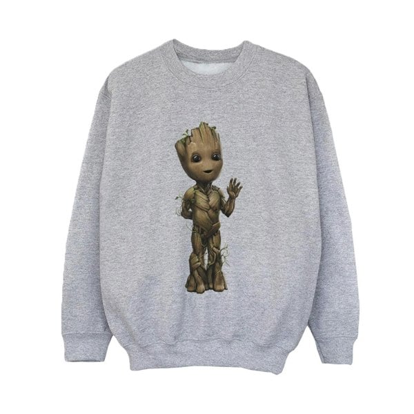 Marvel Boys I Am Groot Wave Pose Sweatshirt - Sports Grey