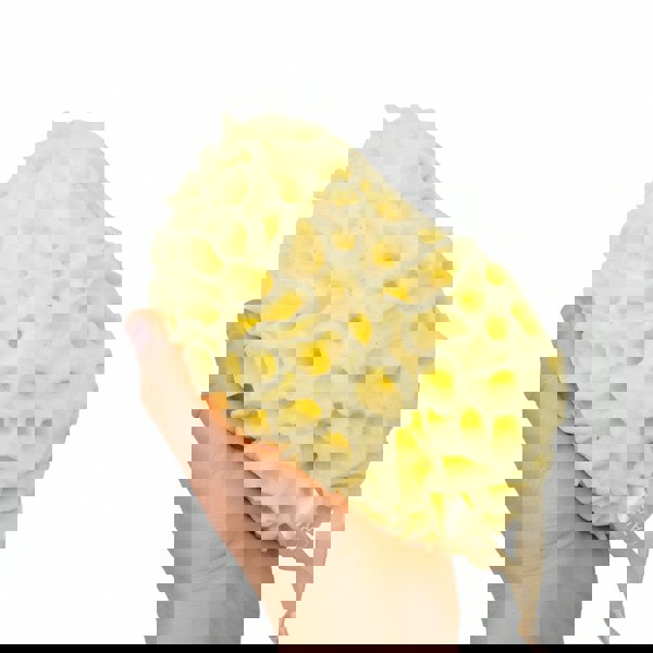 Coral Scrubs Family Bath Sponges large shower sponge for self care