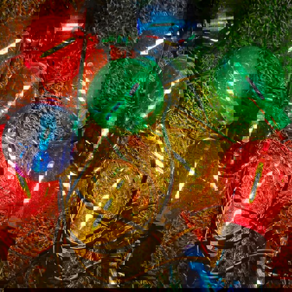 Samuel Alexander 4.5m Set of 10 Connectable Festoon Bulb Lights in Multi-Coloured with Timer Function