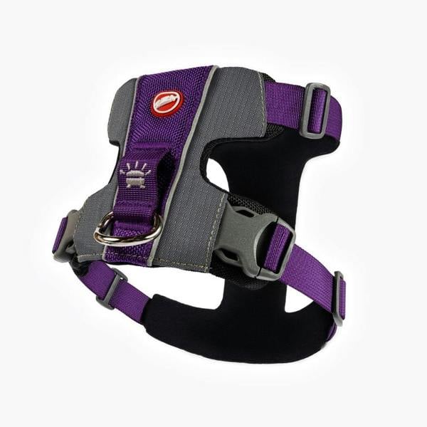 EzyDog X-Link Dog Harness in Purple