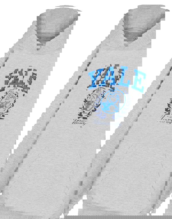 Yale Unisex Grey Dog Hoodie