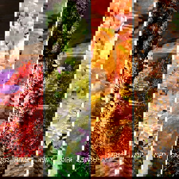 Sapil Rouge Eau de Parfum 100ml notes saffron jasmine amber