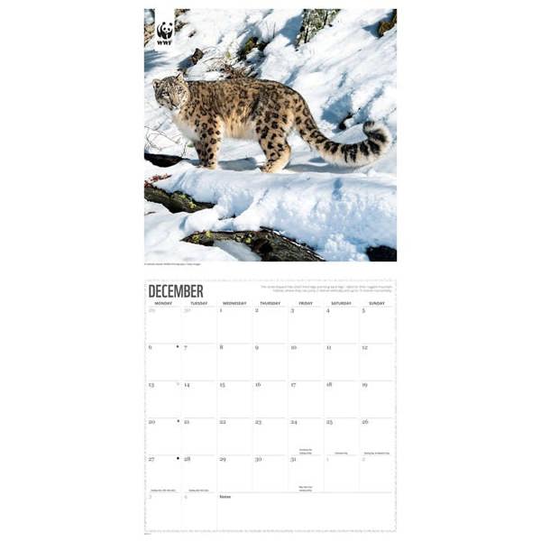 WWF, Big Cats Calendar 2027, Wall Calendars, Month To View, Animals, Gift