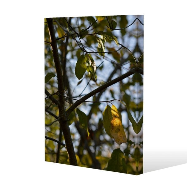 Benjamin Tate Design leaves and branches Slim Style Canvas Print  90x120cm , 15mm Slim Real wood.