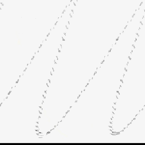 T. H. Baker Sterling Silver Twisted Curb Chain Necklace 8.13.0475