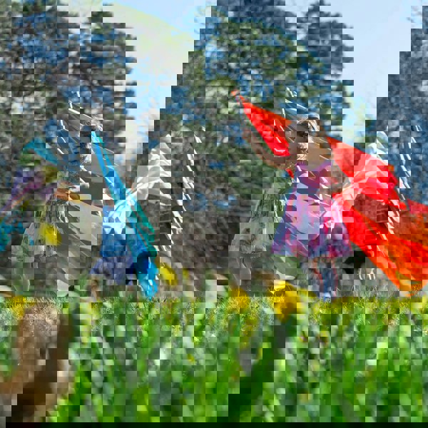 tickit Ombre Habutae Fabric