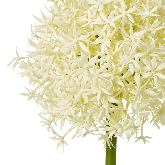 Wyld Haus Set of 3 Artificial Flowers Cream Medium Allium Stems