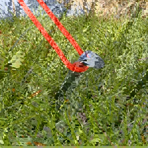 V Tent Pegs Pack of 10 OLPRO